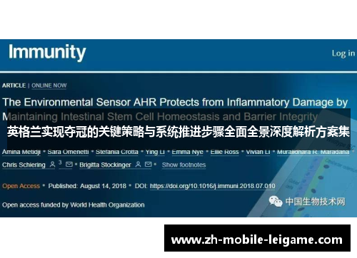 英格兰实现夺冠的关键策略与系统推进步骤全面全景深度解析方案集