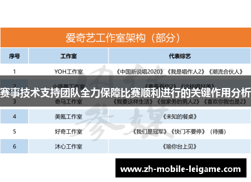 赛事技术支持团队全力保障比赛顺利进行的关键作用分析