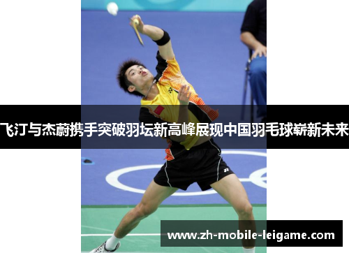 飞汀与杰蔚携手突破羽坛新高峰展现中国羽毛球崭新未来
