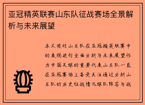 亚冠精英联赛山东队征战赛场全景解析与未来展望